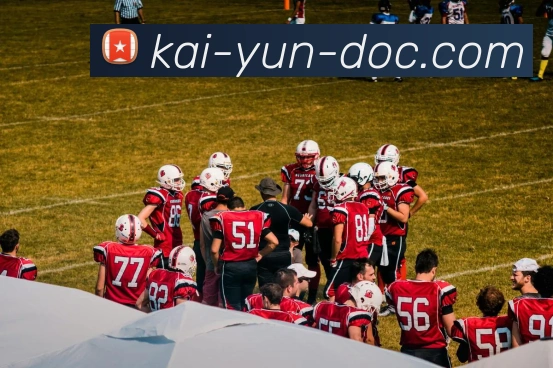 开云平台展示图