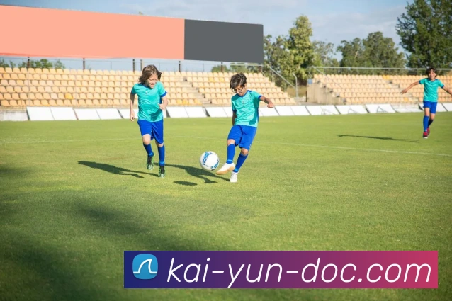 开云官网全站App